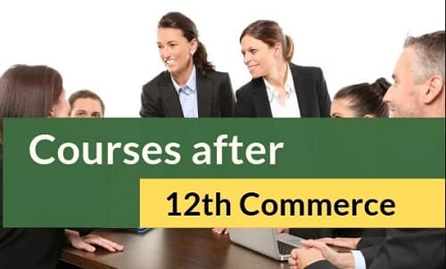 Computer Courses After 12th Commerce Stream