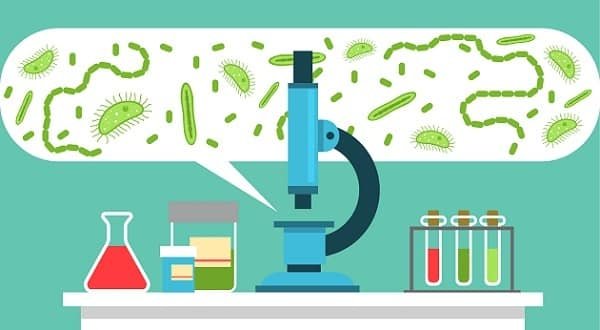 How To Become Microbiologist In India CoursesXpert how-to-become-microbiologist-in-india-coursesxpert
