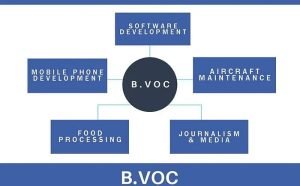 Bachelor of Vocation Course Details, Syllabus, Career, Fees