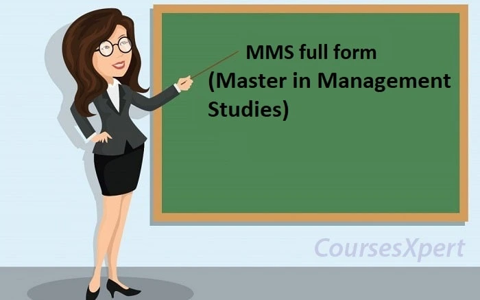 Master in Management Studies
