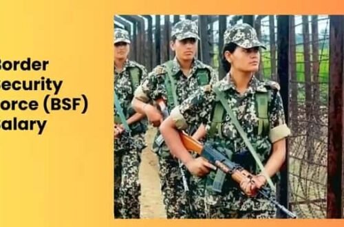 BSF Salary