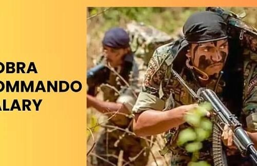 Cobra Commando Salary