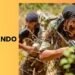 Cobra Commando Salary