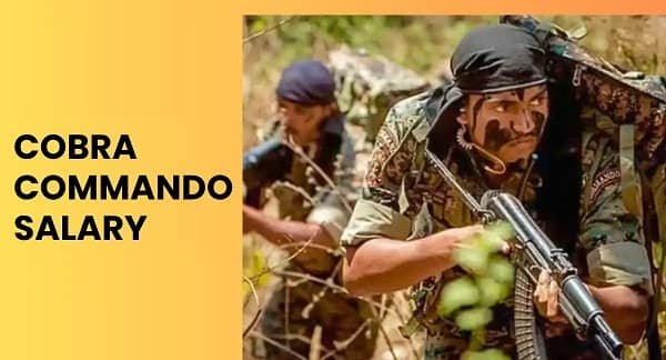 Cobra Commando Salary