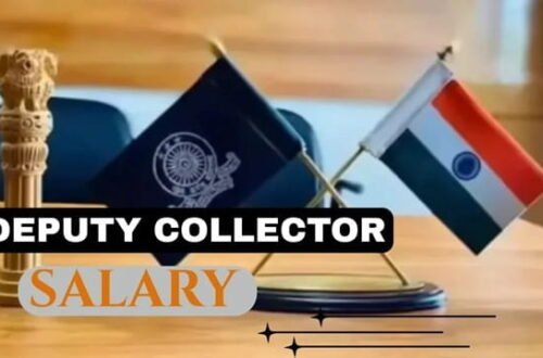 Collector Salary
