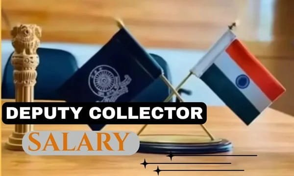 Collector Salary