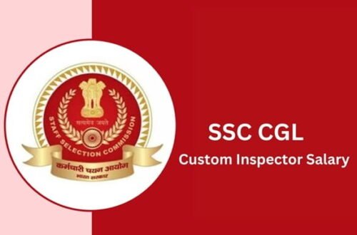 Custom Officer Salary