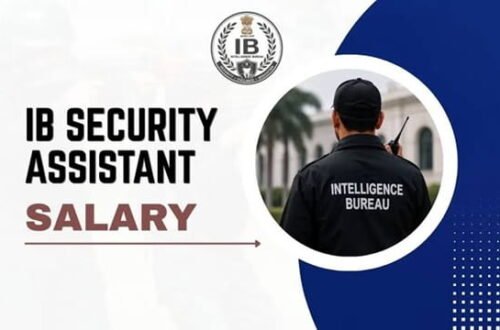 IB Security Assistant Salary