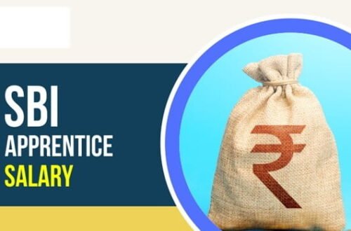 SBI Apprentice Salary